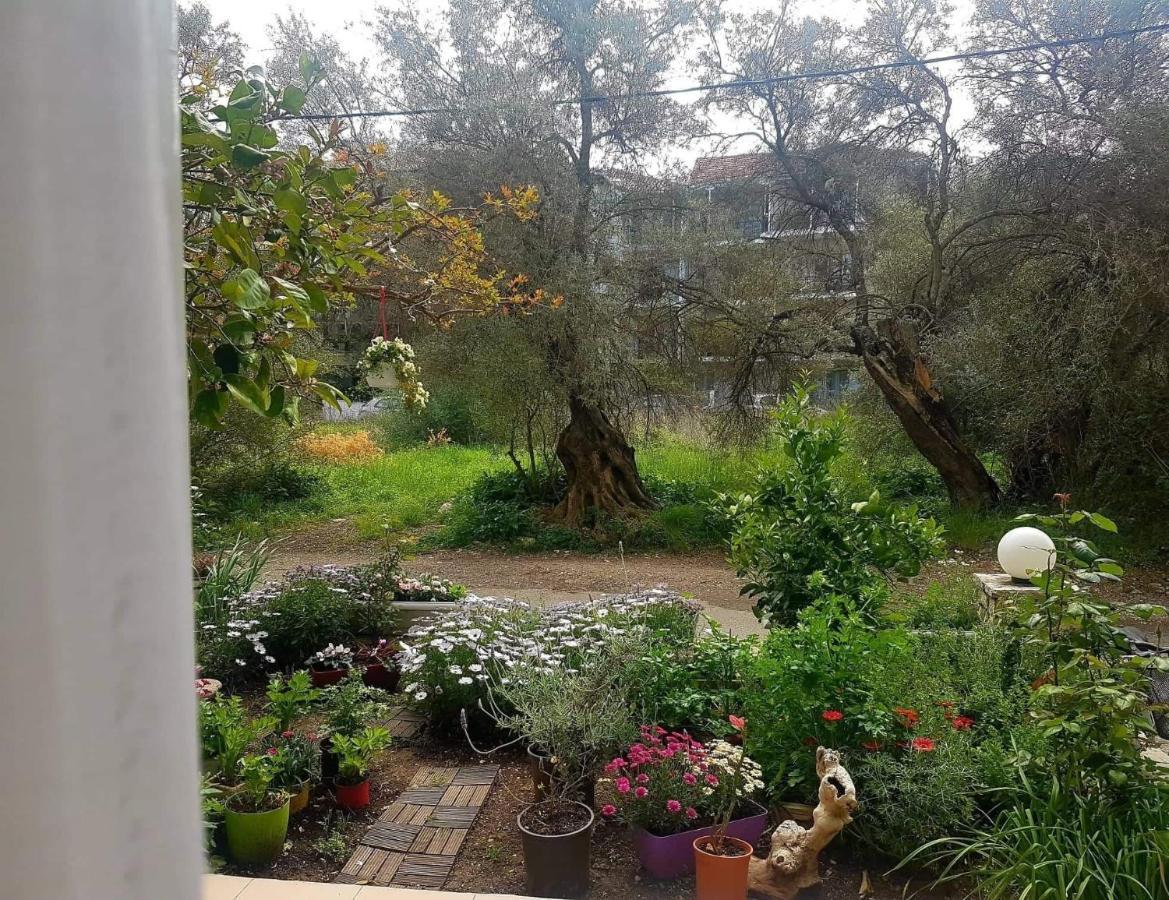 Efi'S Studio Lefkada City Exterior foto